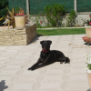 Photo de Havana