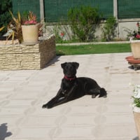 Photo de profil de Havana