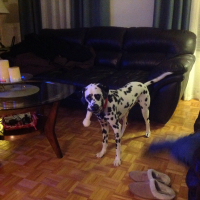 Photo de profil de Maggie