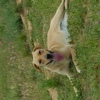 Photo de profil de Iona