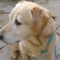 Photo de profil de Benji