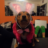 Photo de profil de hamouche