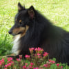 Photo de Hugo