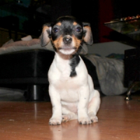 Photo de profil de Happy
