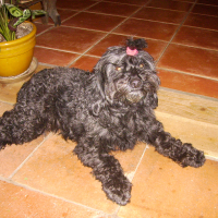 Photo de profil de Rustine