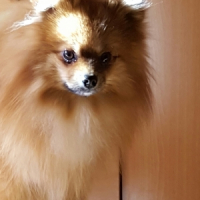 Photo de profil de Lucky