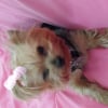 Photo de Fidji