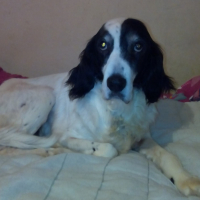 Photo de profil de zoé