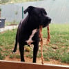 Photo de Atchoum 