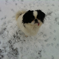 Photo de profil de Taïchi