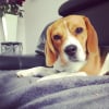 Photo de Lumia 