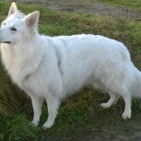 Photo de profil de Havane