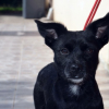 Photo de Aywëne