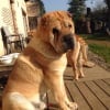 Photo de Eliott