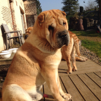 Photo de profil de Eliott