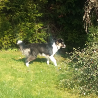 Photo de profil de luigi