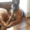 Photo de Tara