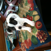 Photo de profil de Ivy