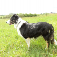Photo de profil de VIKI