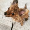 Photo de Gucci