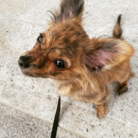 Photo de profil de Gucci
