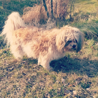 Photo de profil de Charlotte