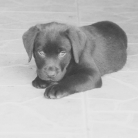 Photo de profil de Mila