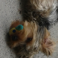 Photo de profil de locky