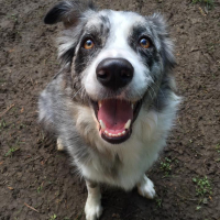 Photo de profil de Naia