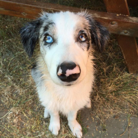 Photo de profil de Eden