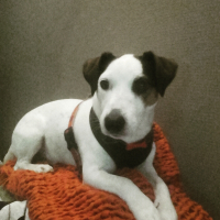 Photo de profil de gucci