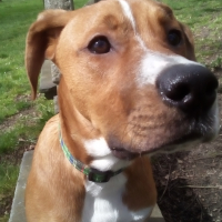 Photo de profil de Yoshi