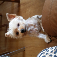 Photo de profil de Tina