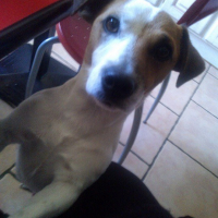 Photo de profil de djack