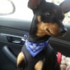 Photo de LASCO
