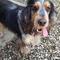 Photo de profil de Igloo