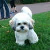 Photo de Francky
