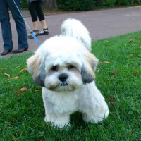 Photo de profil de Francky