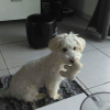 Photo de Looky