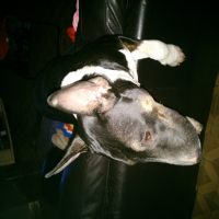 Photo de profil de buzz