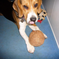 Photo de profil de CIRRUS
