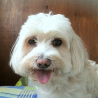 Photo de profil de Cloé