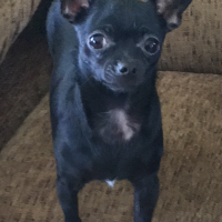 Photo de profil de Loly