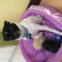 Photo de profil de Mily