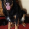 Photo de Moka