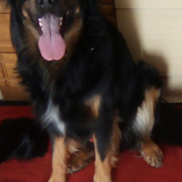 Photo de profil de Moka