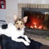 Photo de Jack 