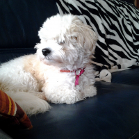 Photo de profil de Filou