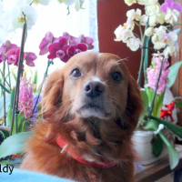 Photo de profil de Valdy