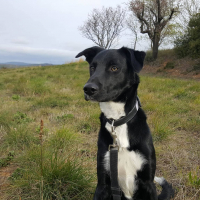 Photo de profil de Locky